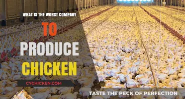 Uncovering the Worst Chicken Producer: A Shocking Industry Exposé