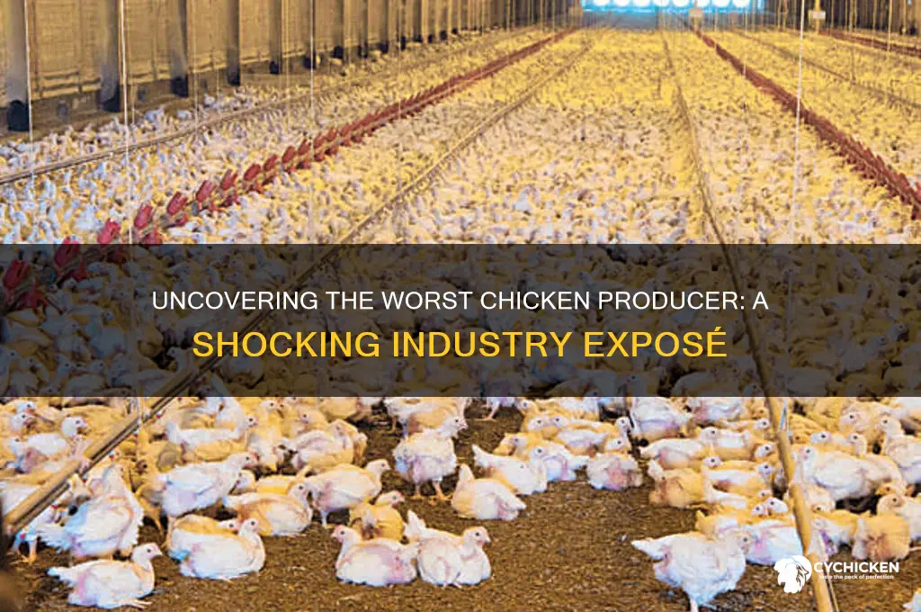 what is the worst company to produce chicken