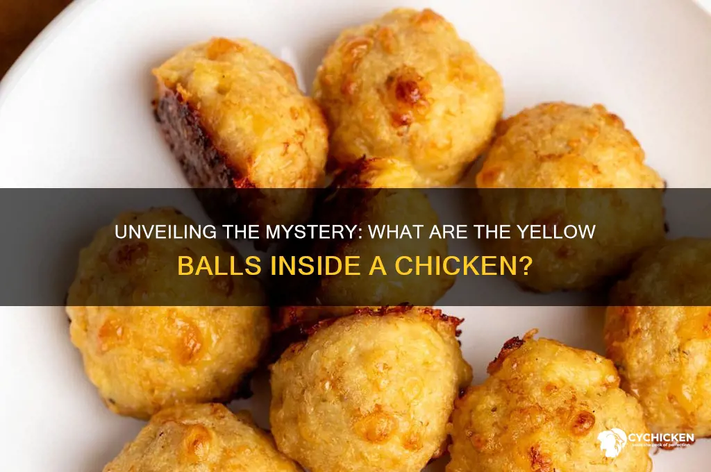 what is the yellow balls inside a chicken