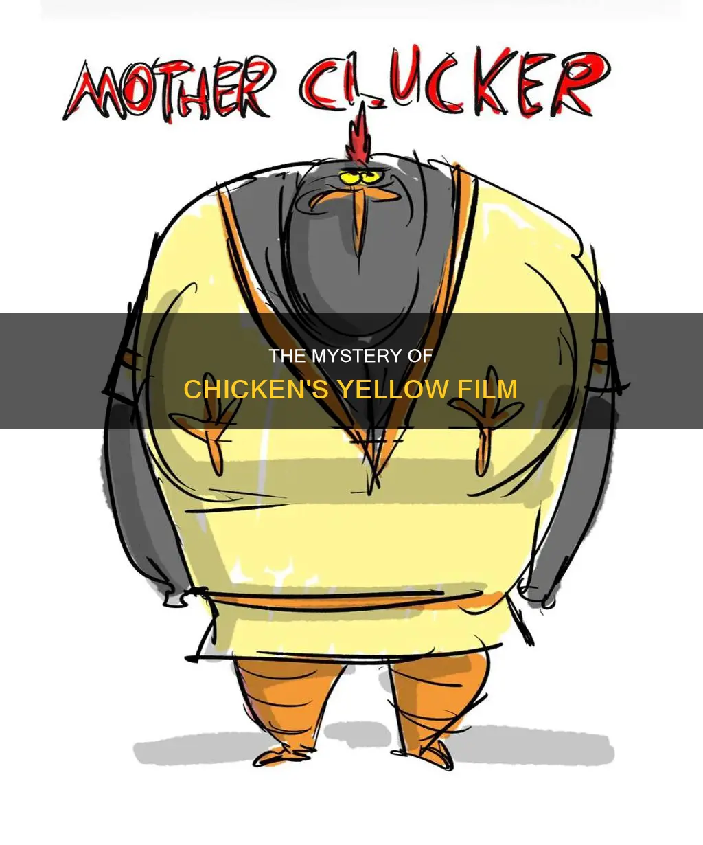 what is the yellow film that comes on chicken