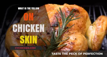 Understanding the Yellow Hue on Chicken Skin: Causes and Facts