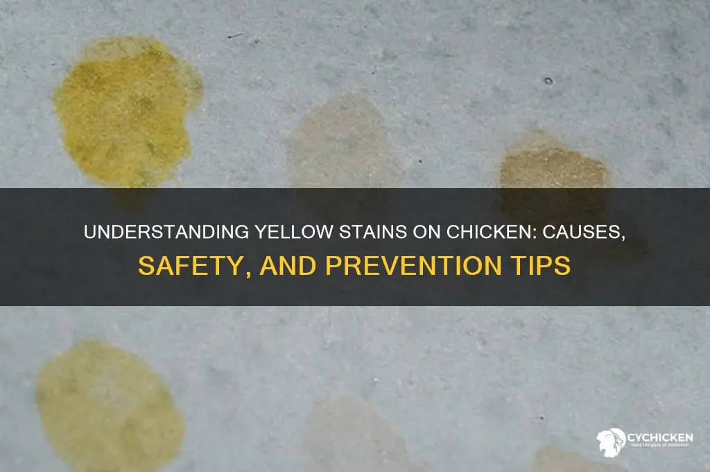 what is the yellow stains on chicken