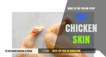 Unveiling the Mystery: What is the Yellow Substance on Chicken Skin?