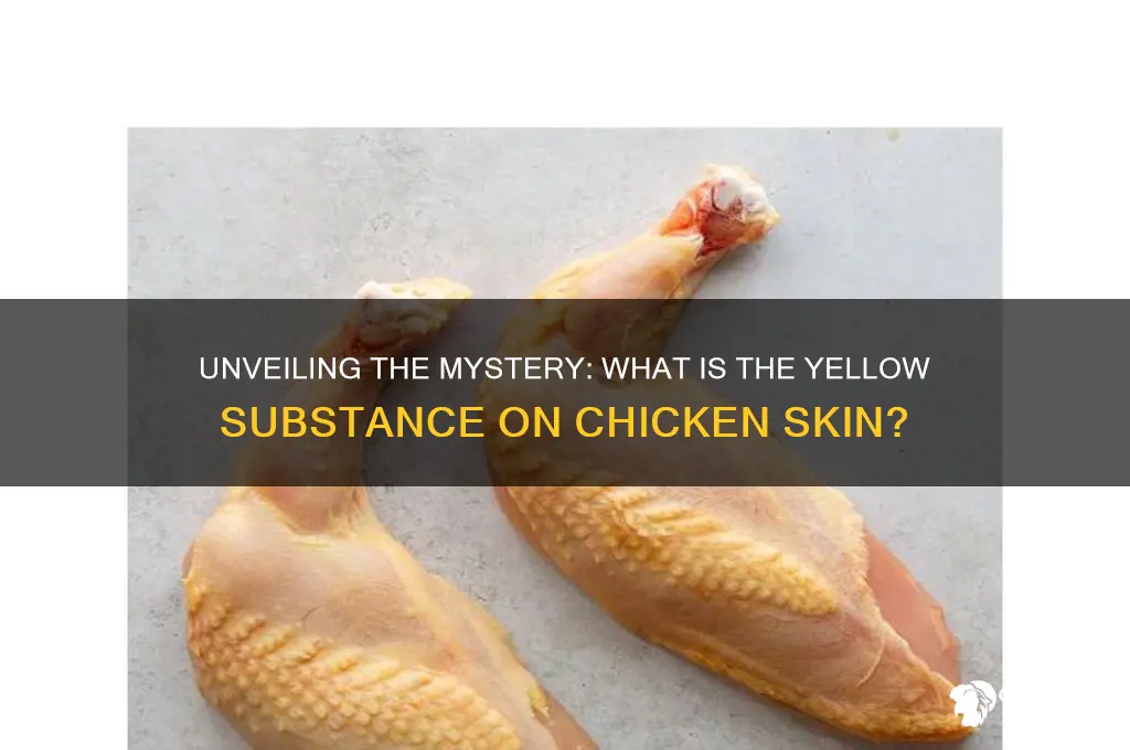 what is the yellow stuff on chicken skin