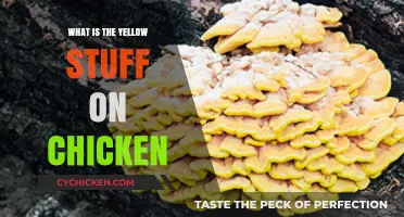 Understanding the Yellow Substance on Chicken: Facts and Food Safety Tips