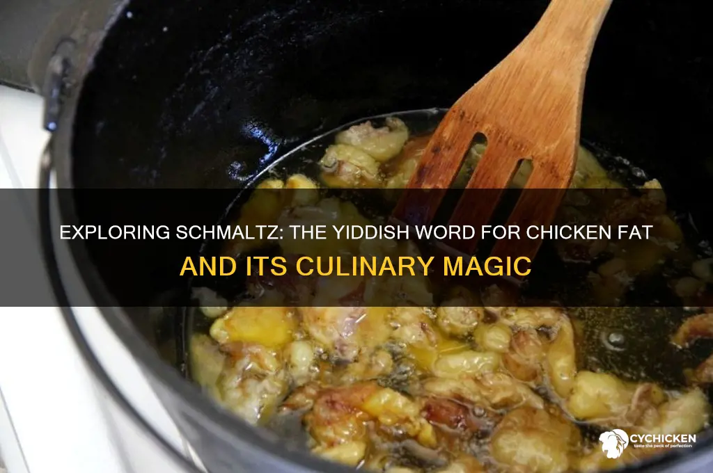 what is the yiddish word for chicken fat