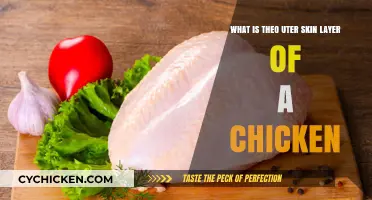 The Chicken's Skin: What's Beyond the Surface?
