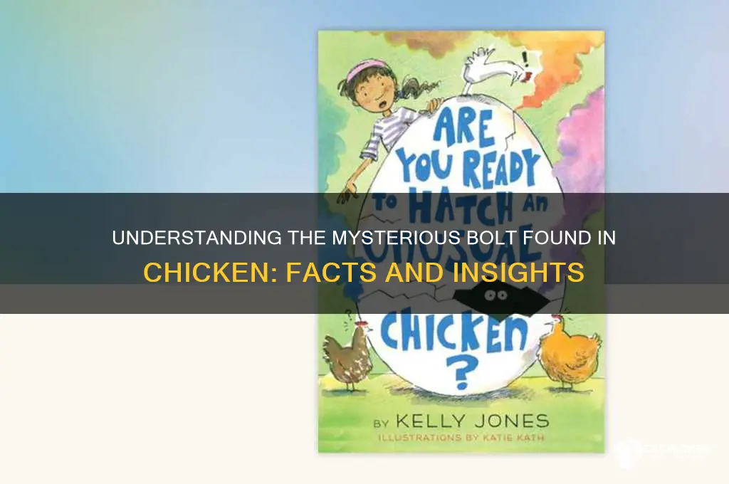 what is this bolt in a chicken