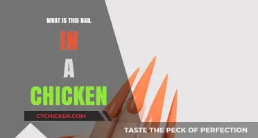 Unusual Discovery: Understanding the Mystery of a Nail in a Chicken