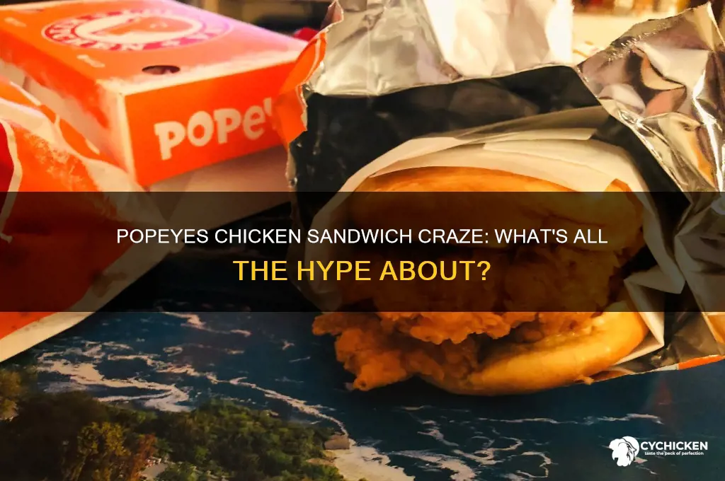 what is this popeyes chicken sandwich everybody wants