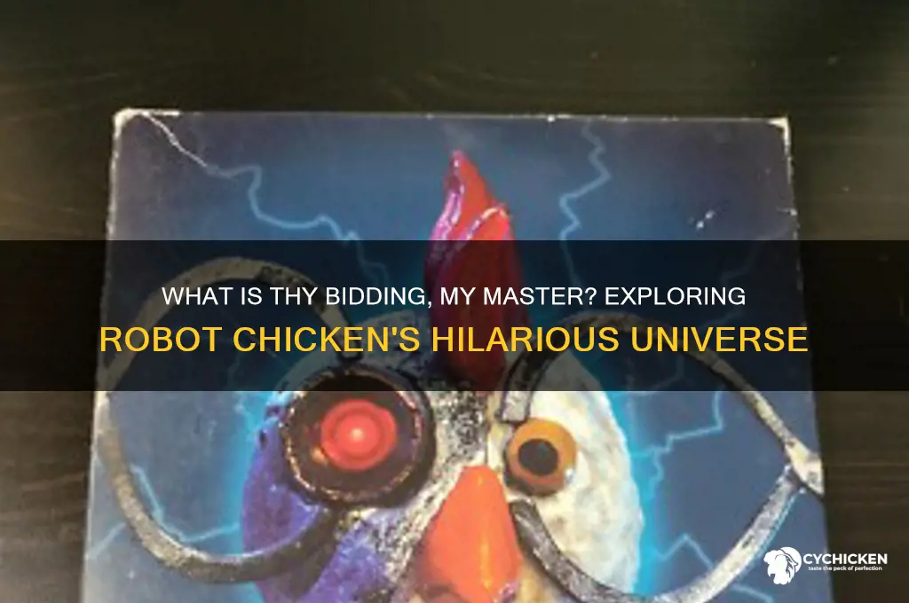 what is thy bidding my master robot chicken
