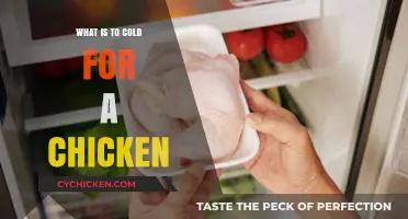 Chilly Chickens: Understanding Safe Cold Temperatures for Your Flock
