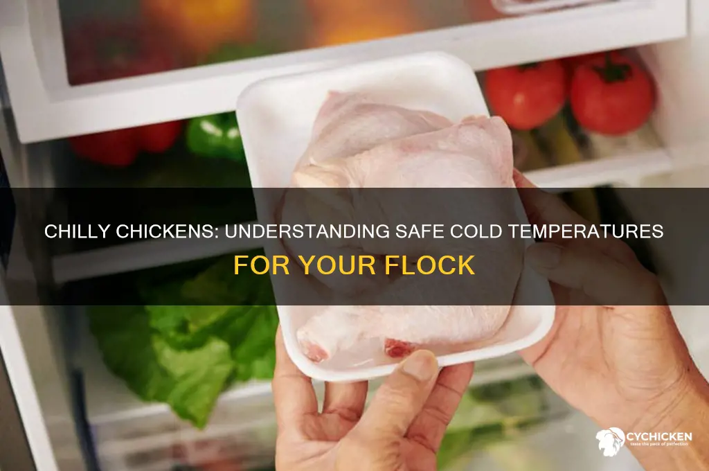 what is to cold for a chicken