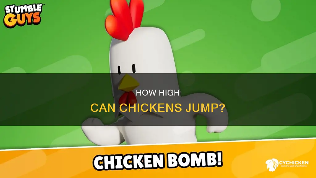 what is too high for a chicken to jump