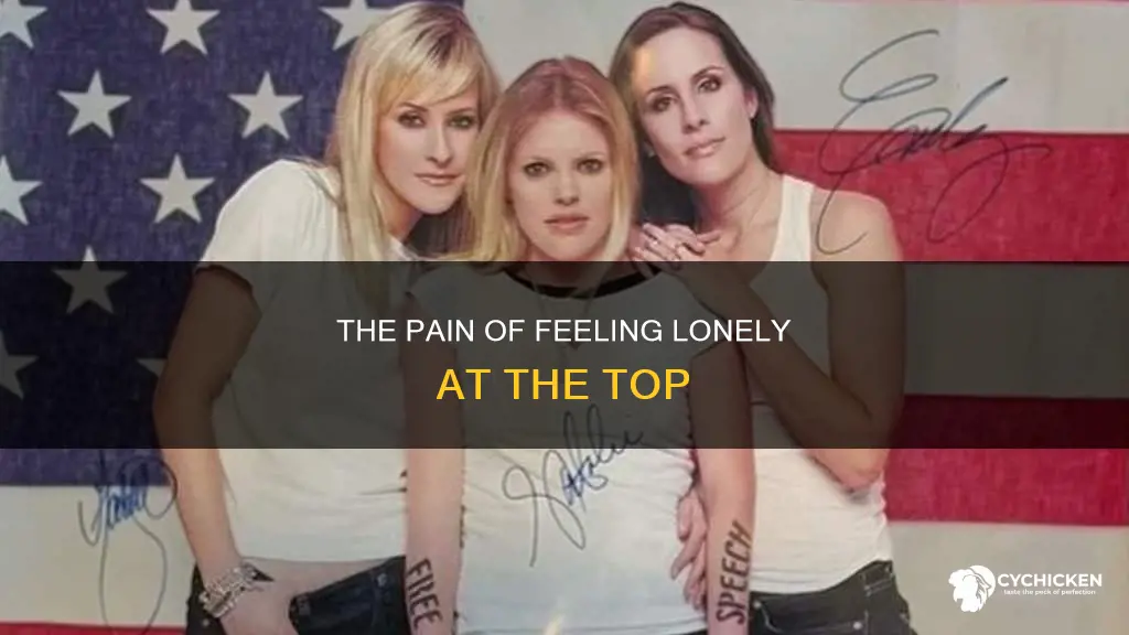 what is top of the world by dixie chicks about