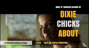 Travelin' Soldier by Dixie Chicks: Unraveling the Heartbreaking Story