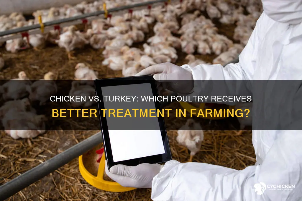 what is treated better chicken or turkey