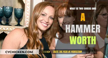 Two Chicks and a Hammer's Net Worth: Unveiling the Value