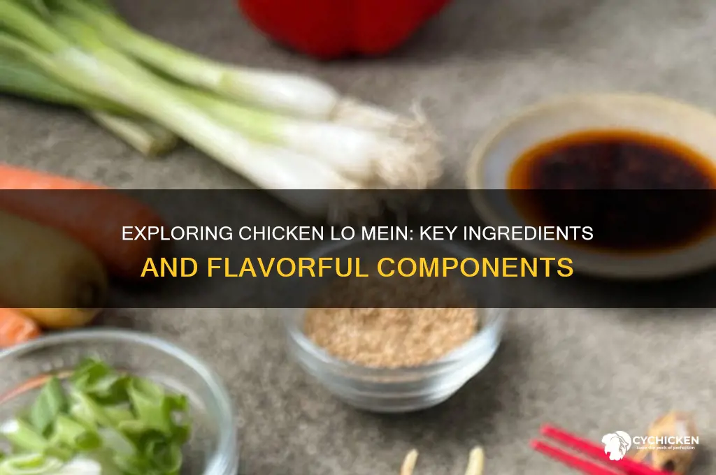 what is typically in chicken lo mein