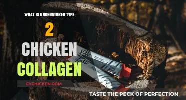 Understanding Undenatured Type 2 Chicken Collagen: Benefits and Uses