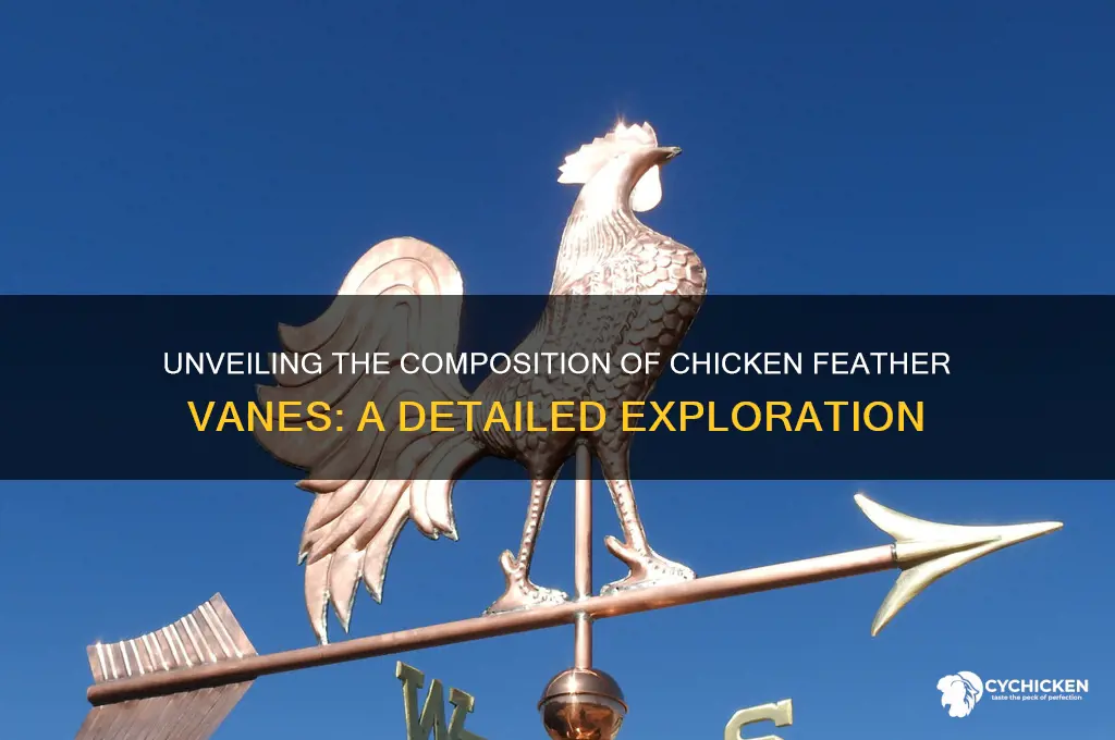 what is vane of chicken feather made of