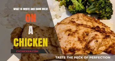White vs Dark Meat: Chicken Anatomy
