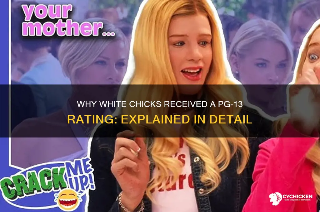 what is white chicks rated pg-13 for