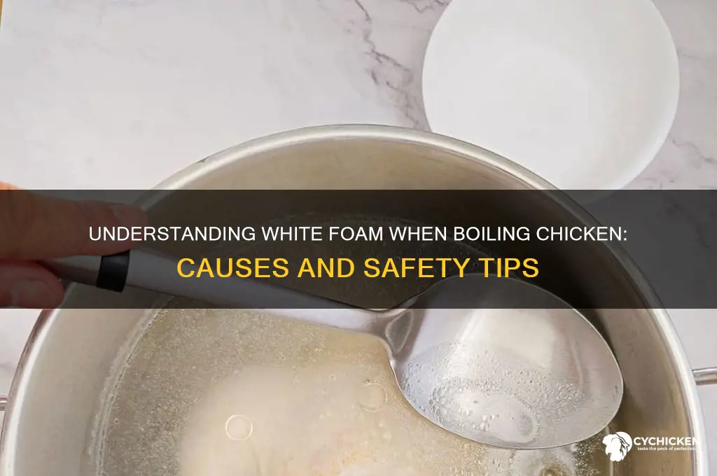 what is white foam when boiling chicken