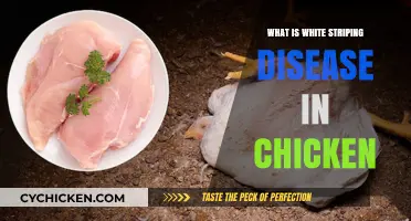Understanding White Striping Disease in Chickens: Causes and Impact