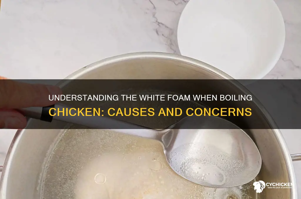 what is white stuff when boiling chicken