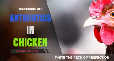 Antibiotics in Chicken: Uncovering the Hidden Health Risks