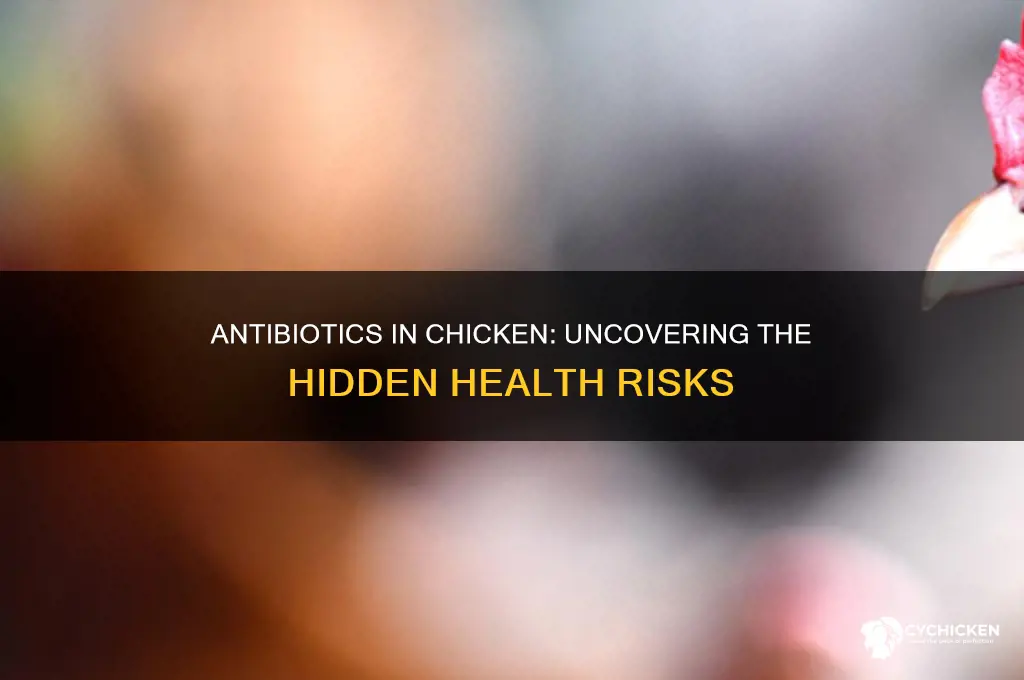 what is wrong with antibiotics in chicken
