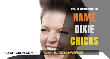 Why 'Dixie Chicks' Became Controversial: Unpacking the Name Change Debate