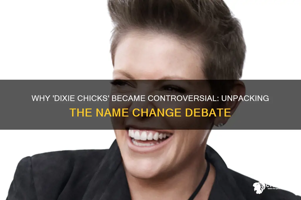 what is wrong with the name dixie chicks