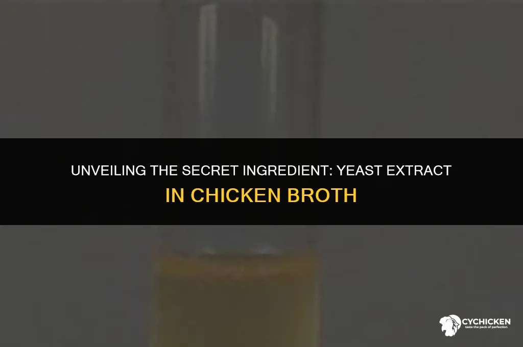what is yeast extract in chicken broth