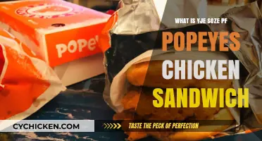 Popeyes Chicken Sandwich Size: Unwrapping the Truth Behind the Hype