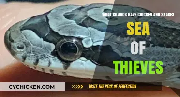 Chicken and Snakes: Islands of Mystery and Adventure