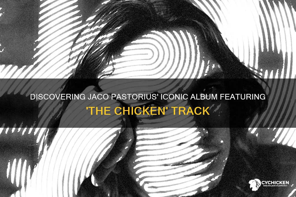 what jaco album was the chicken on