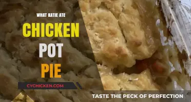 Savoring Comfort: Katie's Chicken Pot Pie Adventure