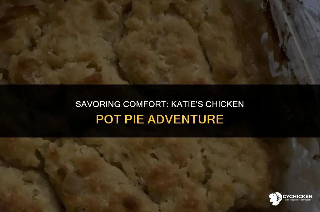what katie ate chicken pot pie