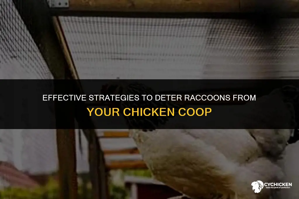what keeps racoons away from chicken coop