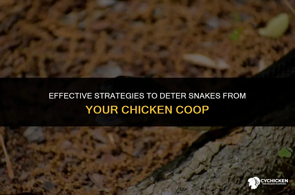 what keeps snakes away from chicken coop