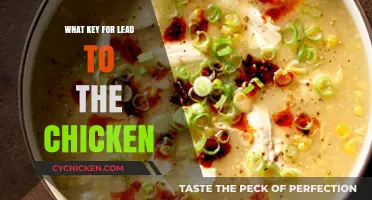 Unlocking the Secret: What Key Leads to the Chicken?
