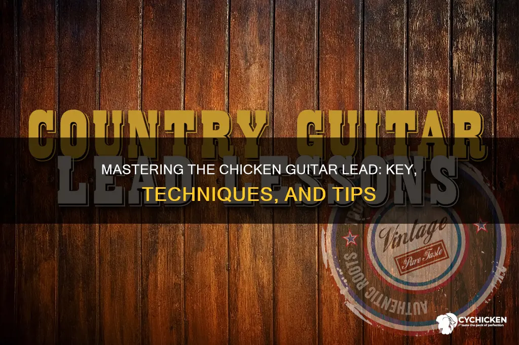 what key is guitar lead for the chicken