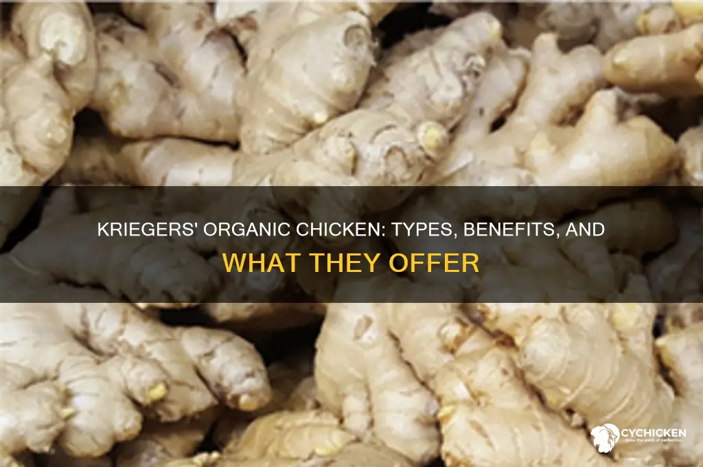 what kid of chicken organic does kreigers sell