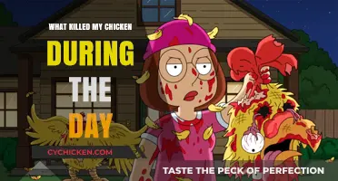 Daytime Mystery: Uncovering the Sudden Death of My Chicken