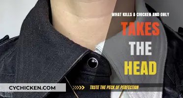 Headless Horror: What Kills Chickens and Why?