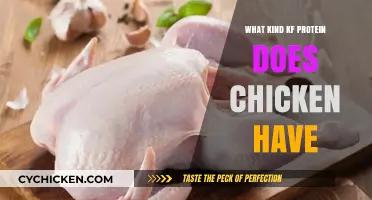 Understanding the Types of Protein Found in Chicken: A Comprehensive Guide