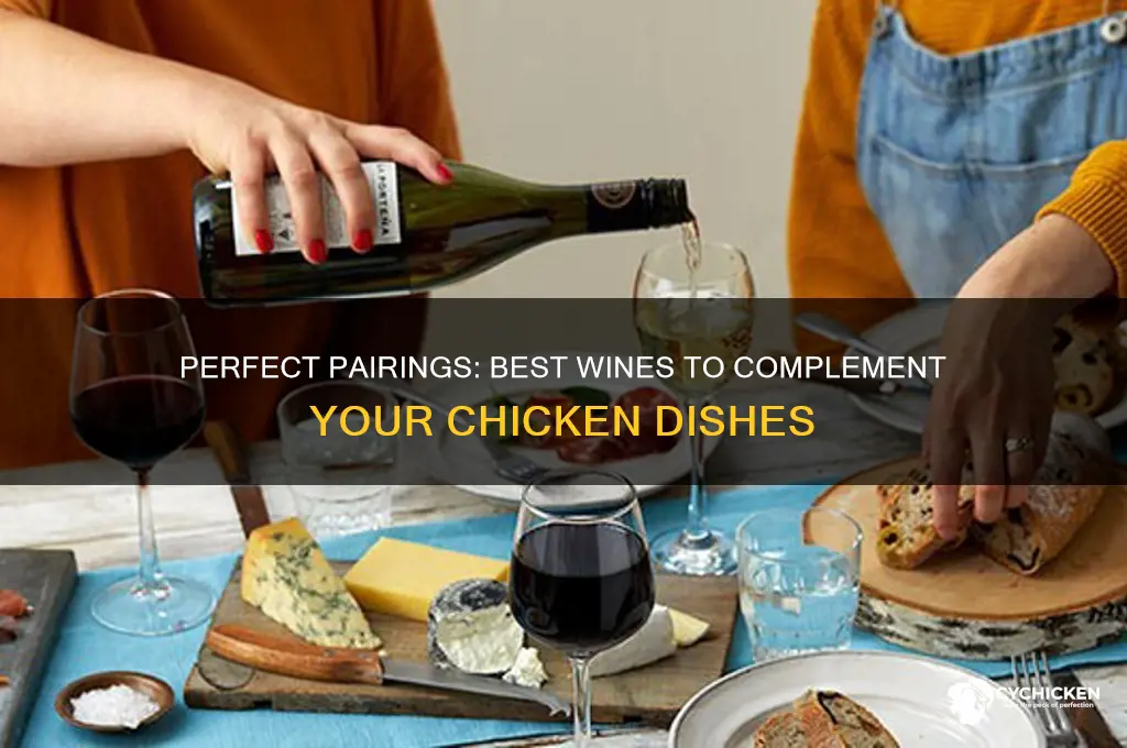 what kind o wine goes well with chicken