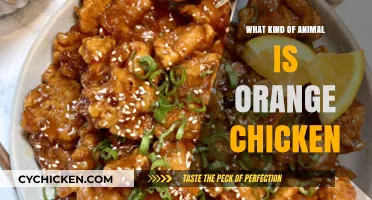 Unraveling the Myth: Is Orange Chicken an Animal or a Dish?